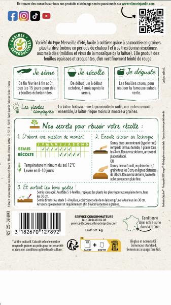 Potagères - Laitue Batavia Kamikaze - Graines d'Exception - MEDIA_PACKAGING_VERSO